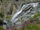 P1060597~0.JPG