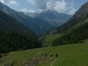 P1060610~0.JPG