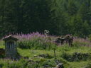 P1060615~0.JPG