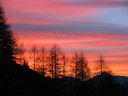 IMG_3254.JPG