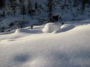 IMG_3258.JPG