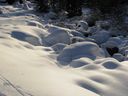 IMG_3260.JPG