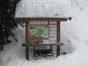 IMG_3383.JPG