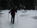 IMG_3392.JPG