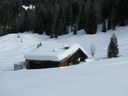 IMG_3405.JPG