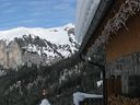IMG_3411.JPG