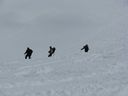 IMG_3446.JPG