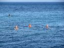 IMG_4214.JPG