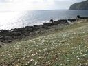 IMG_4220.JPG