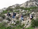 IMG_4235.JPG