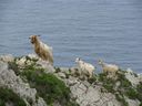 IMG_4246.JPG