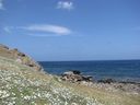 IMG_4279.JPG