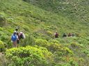 IMG_4343.JPG