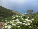 IMG_4351.JPG