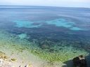 IMG_4441.JPG