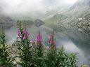 IMG_6752.JPG