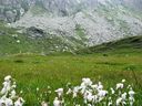 IMG_6753.JPG
