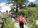 IMG_6852.JPG