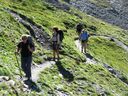 IMG_6905.JPG