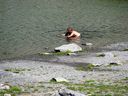 IMG_7001.JPG