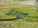 IMG_7029.JPG