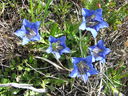 IMG_9980.JPG