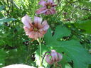 DSC00539.JPG