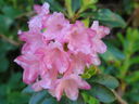 DSC00543.JPG