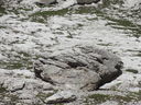 DSC00572.JPG