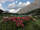 DSC00606.JPG
