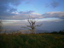 PC130175.JPG