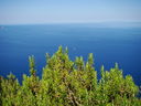 DSC02626.JPG