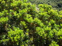 DSC02651.JPG