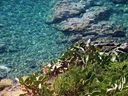 DSC02711.JPG