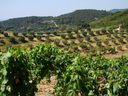 DSC02754.JPG