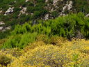 DSC02947.JPG