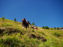 DSC04298.JPG