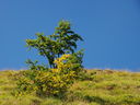 DSC04302.JPG