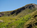 DSC04333.JPG