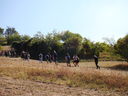 DSC05058.JPG