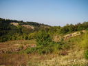 DSC05091.JPG