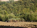 DSC05119.JPG