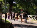 DSC05356.JPG