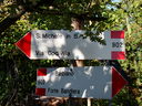 DSC05383.JPG