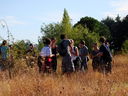 DSC05414.JPG