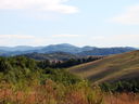 DSC05421.JPG