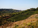 DSC05459.JPG