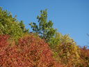 DSC05472.JPG