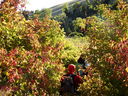 DSC05477.JPG