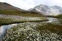 Queyras_081.jpg
